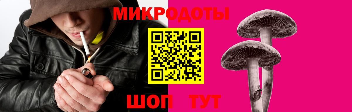 Мытищи  Псилоцибиновые грибы GOLDEN TEACHER  Вход с VPN  Галлюциногенные грибы Psilocybe 